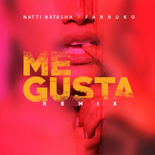متن آهنگ Me Gusta - Remix از Natti Natasha کاور آهنگ Me Gusta - Remix از Natti Natasha