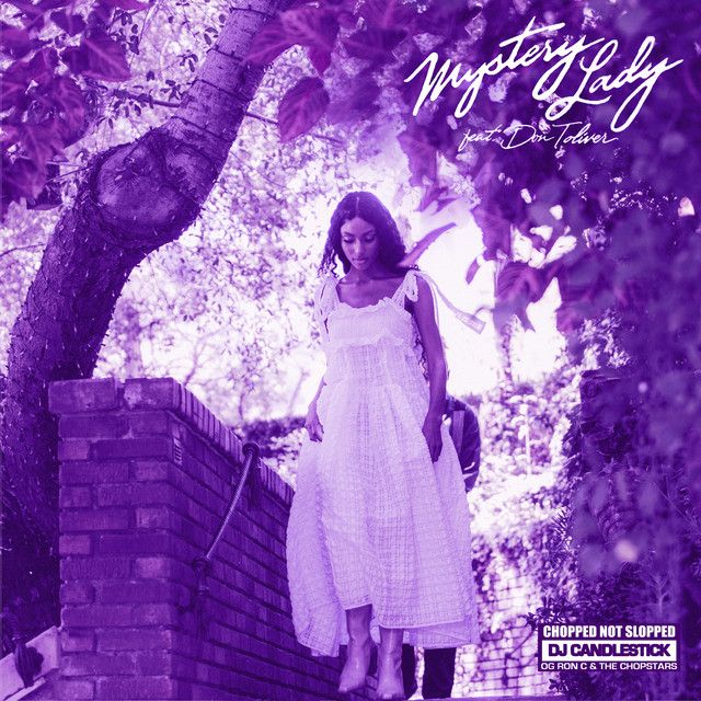 متن آهنگ Mystery Lady - ChopNotSlop Remix از Don Toliver کاور آهنگ Mystery Lady - ChopNotSlop Remix از Don Toliver