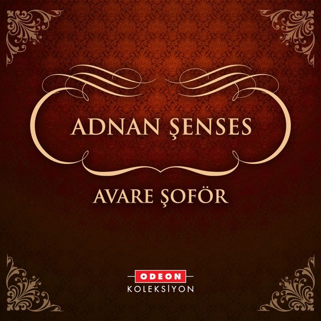 متن آهنگ Yollarına Baka Baka از Adnan Senses