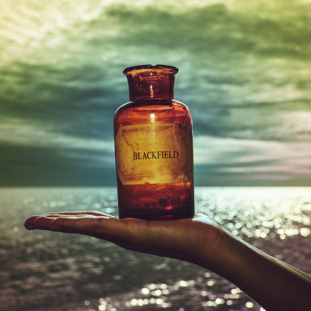 کاور آهنگ Sorrys از Blackfield