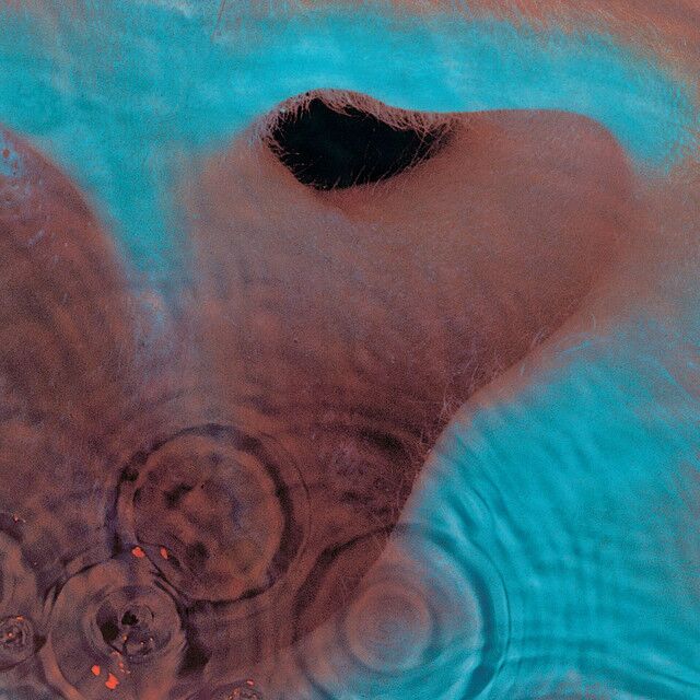 متن آهنگ A Pillow Of Winds - 2011 Remastered Version از Pink کاور آهنگ A Pillow Of Winds - 2011 Remastered Version از Pink Floyd