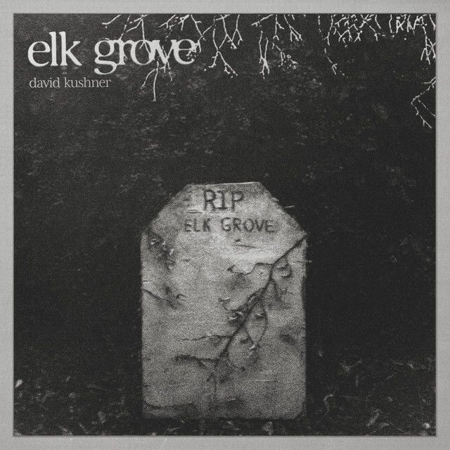 متن آهنگ Elk Grove از David Kushner کاور آهنگ Elk Grove از David Kushner