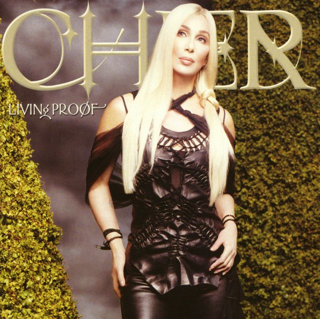 متن آهنگ Love so High از Cher کاور آهنگ Love so High از Cher