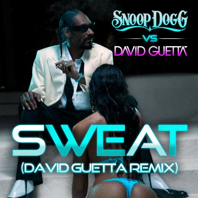متن آهنگ Wet (Snoop Dogg Vs. David Guetta) - Remix از Snoop کاور آهنگ Wet (Snoop Dogg Vs. David Guetta) - Remix از Snoop Dogg