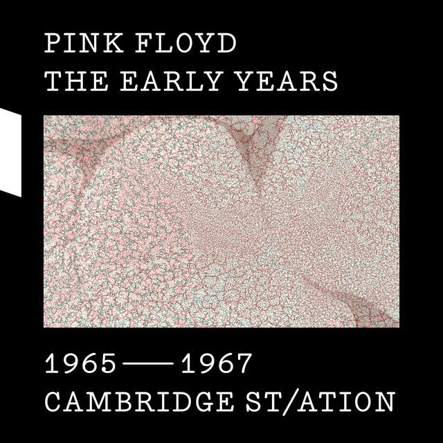 متن آهنگ Vegetable Man - 2010 Mix از Pink Floyd کاور آهنگ Vegetable Man - 2010 Mix از Pink Floyd