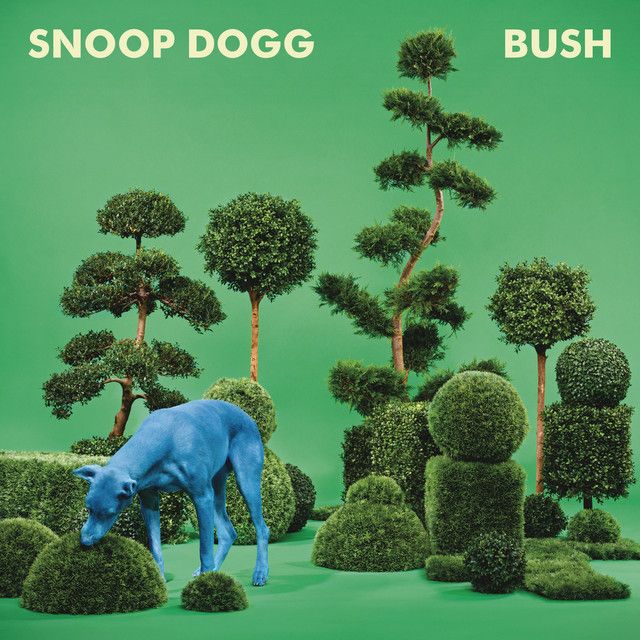 متن آهنگ R U A Freak از Snoop Dogg کاور آهنگ R U A Freak از Snoop Dogg