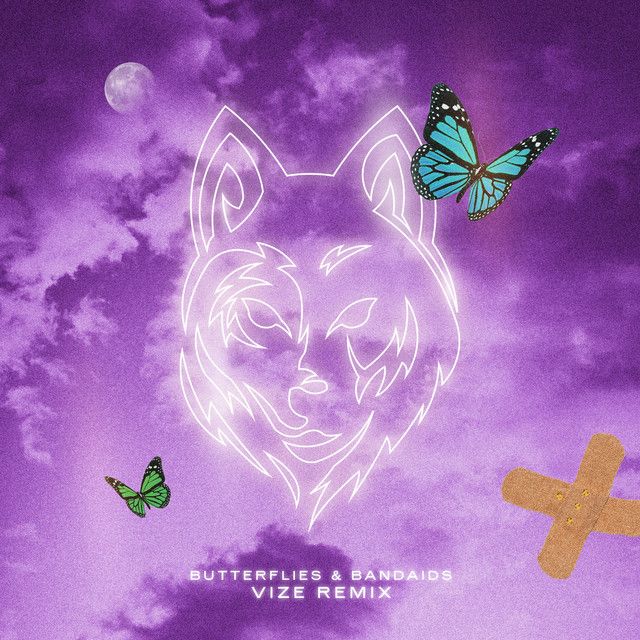 متن آهنگ Butterflies & Bandaids - VIZE Remix از Masked Wolf کاور آهنگ Butterflies & Bandaids - VIZE Remix از Masked Wolf