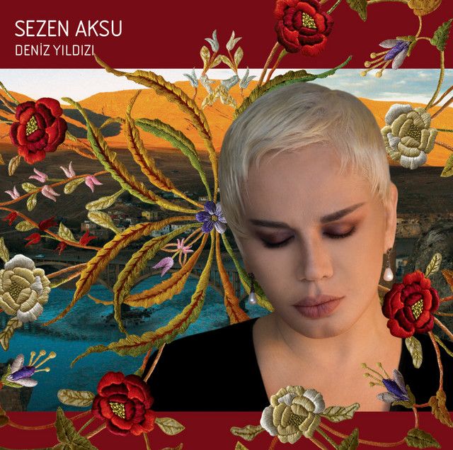 متن آهنگ Memet از Sezen Aksu کاور آهنگ Memet از Sezen Aksu