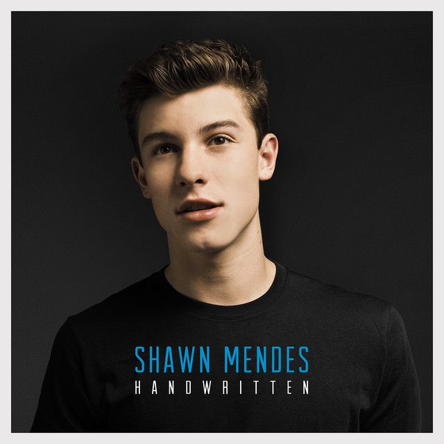 متن آهنگ Stitches از Shawn Mendes کاور آهنگ Stitches از Shawn Mendes