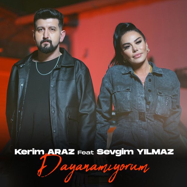متن آهنگ Dayanamıyorum از Sevgim Yılmaz