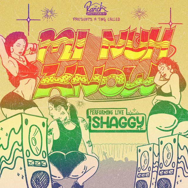 متن آهنگ Mi Nuh Know از Shaggy کاور آهنگ Mi Nuh Know از Shaggy