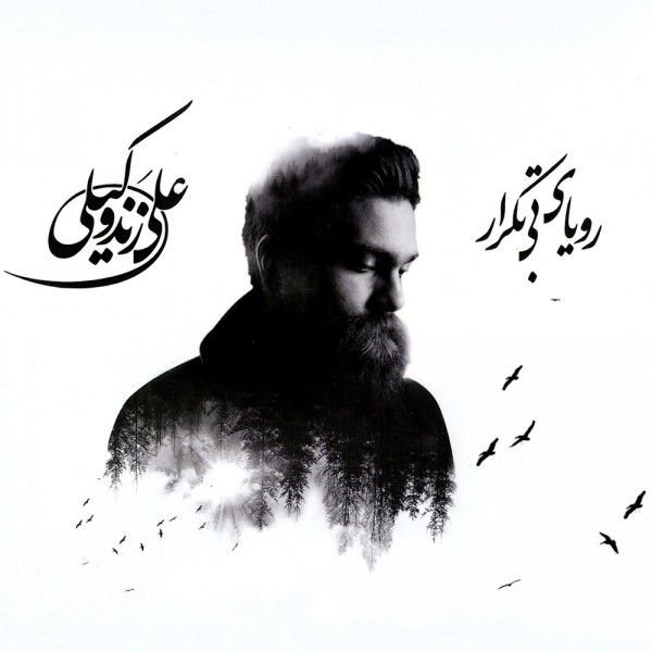 متن آهنگ نمیای از علی زند وکیلی کاور آهنگ نمیای از علی زند وکیلی