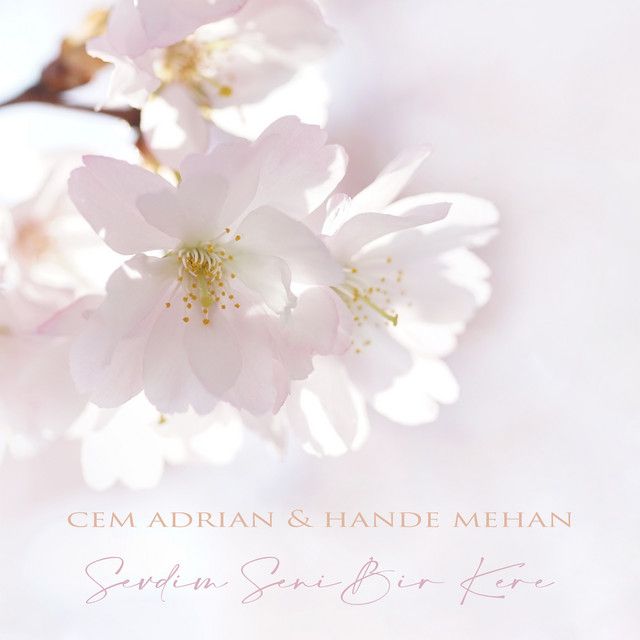 متن آهنگ Sevdim Seni Bir Kere از Cem Adrian کاور آهنگ Sevdim Seni Bir Kere از Cem Adrian