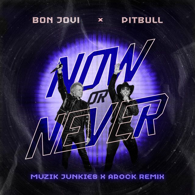 متن آهنگ Now Or Never (Muzik Junkies & AROCK Remix) از Pitbu کاور آهنگ Now Or Never (Muzik Junkies & AROCK Remix) از Pitbull