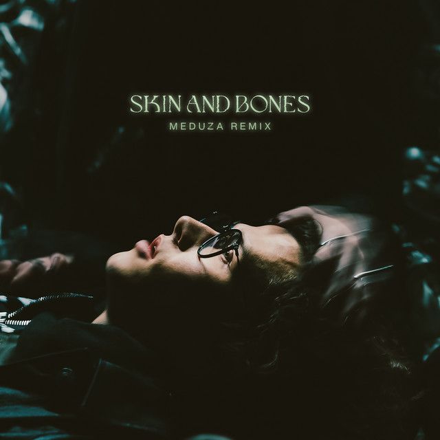 کاور آهنگ Skin and Bones - MEDUZA REMIX از David Kushner