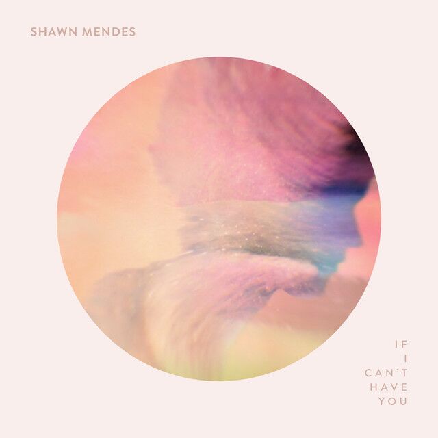 متن آهنگ If I Can't Have You از Shawn Mendes کاور آهنگ If I Can't Have You از Shawn Mendes