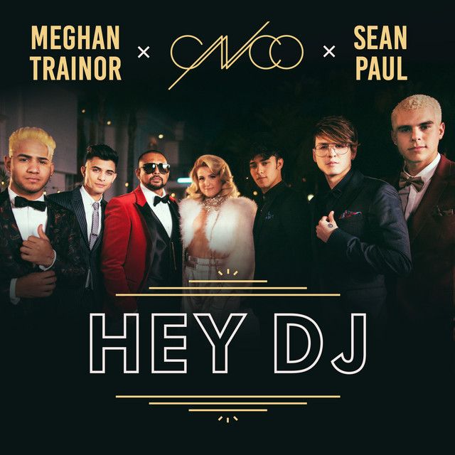 متن آهنگ Hey DJ - Remix از Sean Paul کاور آهنگ Hey DJ - Remix از Sean Paul