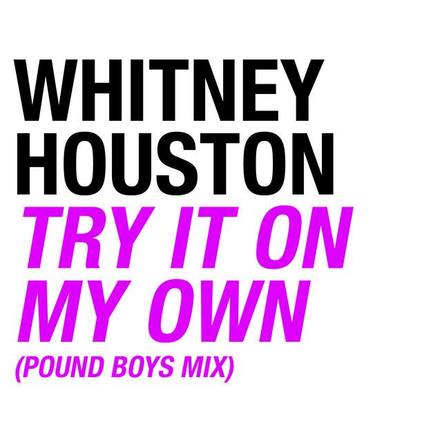 متن آهنگ Try It On My Own - Pound Boys Mix از Whitney Housto