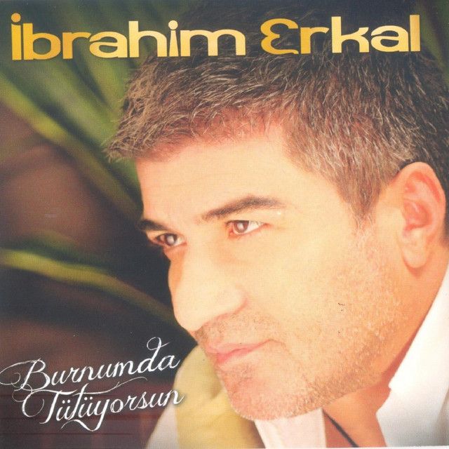 متن آهنگ Gittin از İbrahim Erkal