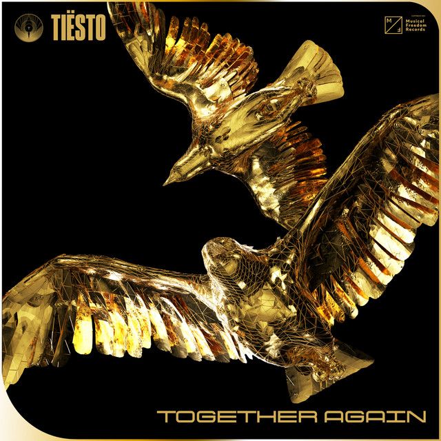متن آهنگ I’ll Take You High از Tiësto کاور آهنگ I’ll Take You High از Tiësto