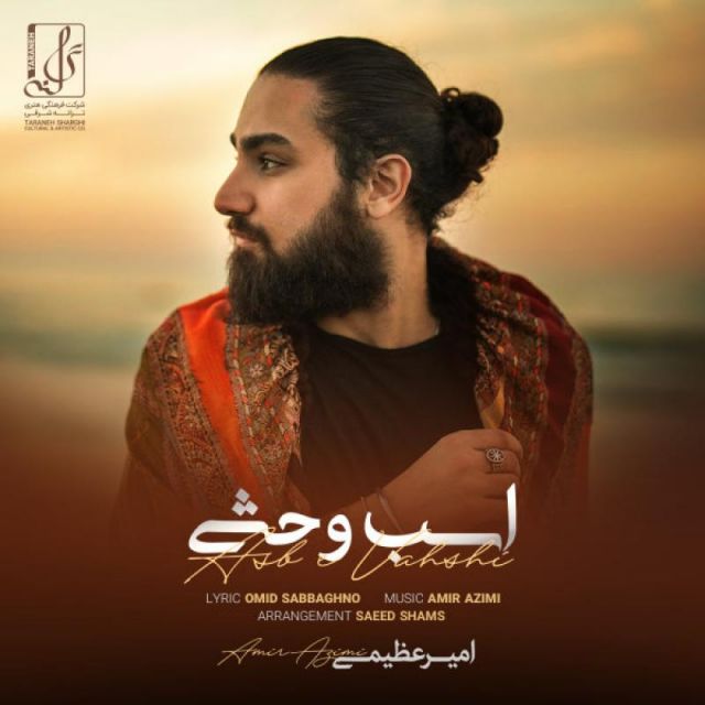 کاور آهنگ اسب وحشی از امیر عظیمی