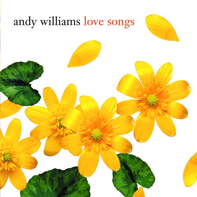 متن آهنگ I Like Your Kind of Love از Andy Williams کاور آهنگ I Like Your Kind of Love از Andy Williams