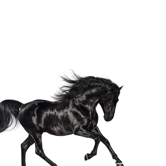 متن آهنگ Old Town Road (feat. Billy Ray Cyrus) - Remix از Li