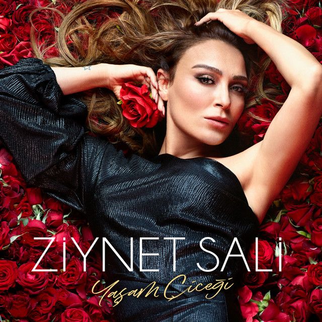 متن آهنگ Deli Divanenim از Ziynet Sali کاور آهنگ Deli Divanenim از Ziynet Sali