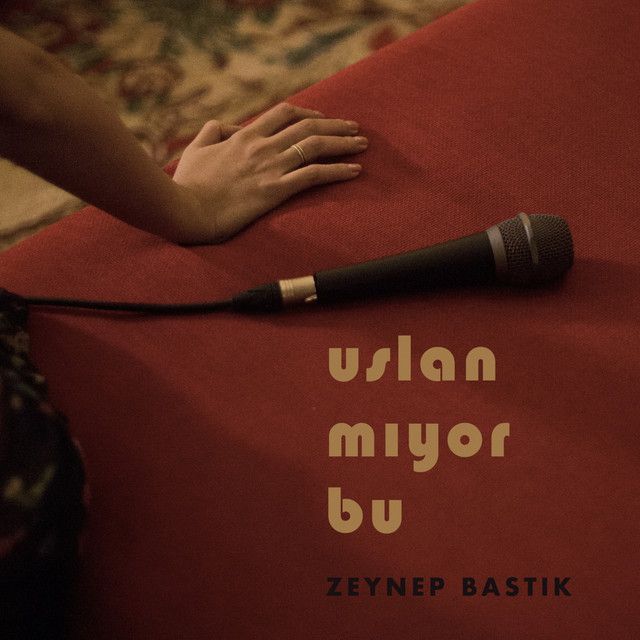 کاور آهنگ Uslanmıyor Bu از Zeynep Bastık
