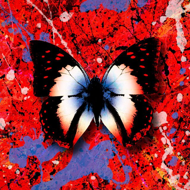 متن آهنگ 2step (feat. Chefin) از Ed Sheeran کاور آهنگ 2step (feat. Chefin) از Ed Sheeran