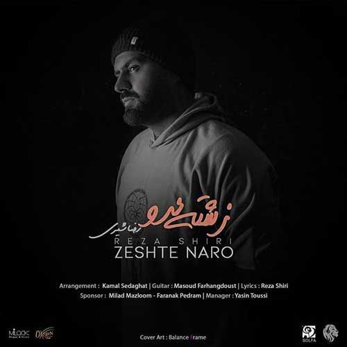 متن آهنگ زشته نرو از رضا شیری کاور آهنگ زشته نرو از رضا شیری