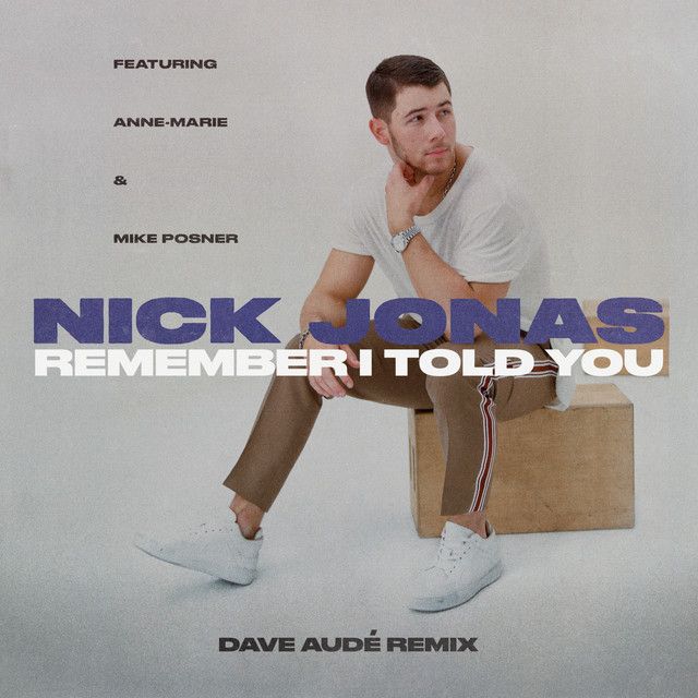 متن آهنگ Remember I Told You - Dave Audé Remix از Anne-Marie کاور آهنگ Remember I Told You - Dave Audé Remix از Anne-Marie