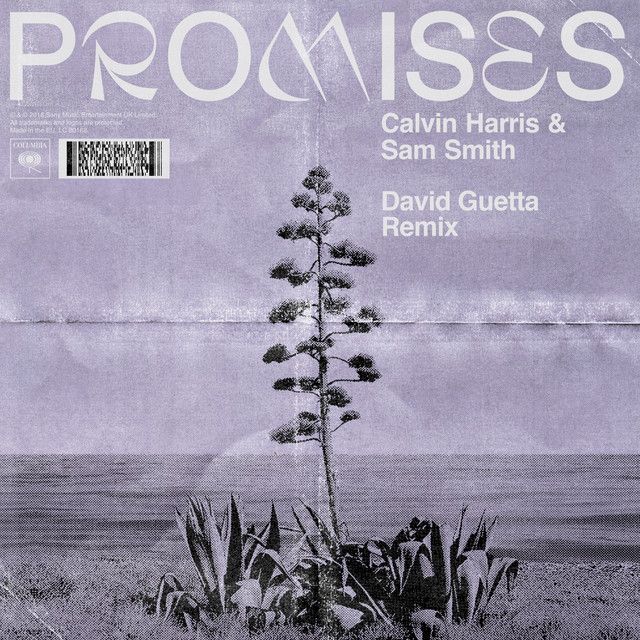متن آهنگ Promises - David Guetta Remix از Sam Smith کاور آهنگ Promises - David Guetta Remix از Sam Smith