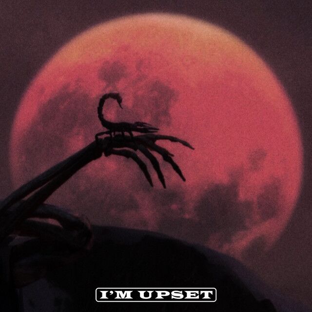 متن آهنگ I'm Upset از Drake کاور آهنگ I'm Upset از Drake