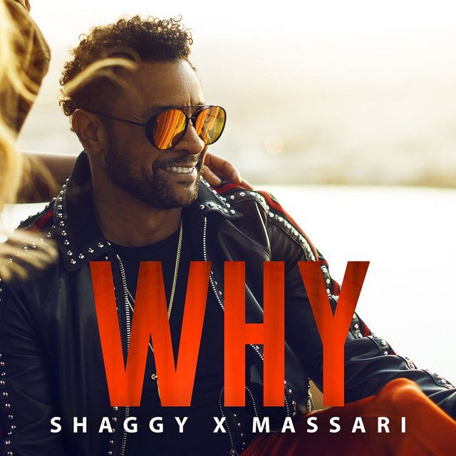 متن آهنگ Why از Shaggy کاور آهنگ Why از Shaggy