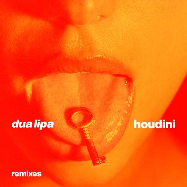 متن آهنگ Houdini - Adam Port Mix از Dua Lipa کاور آهنگ Houdini - Adam Port Mix از Dua Lipa