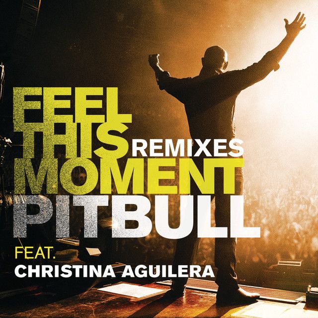 متن آهنگ Feel This Moment (feat. Christina Aguilera) - Riddler…