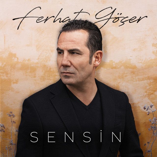 متن آهنگ Sensin از Ferhat Göçer