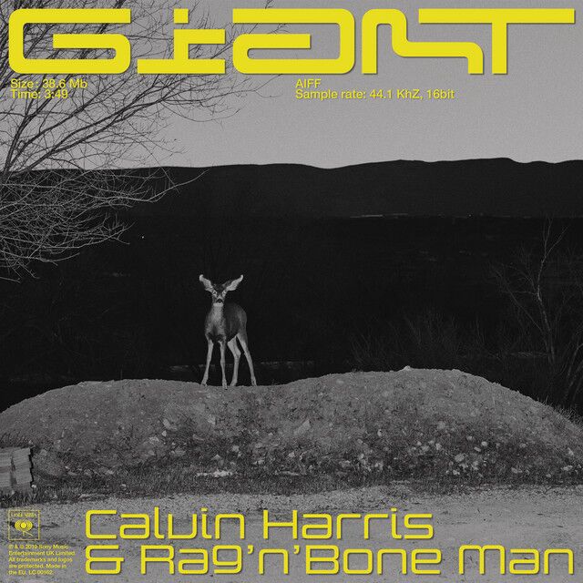 متن آهنگ Giant (with Rag'n'Bone Man) از Calvin Harris کاور آهنگ Giant (with Rag'n'Bone Man) از Calvin Harris