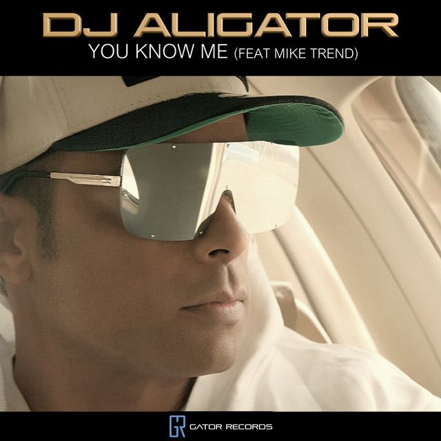 متن آهنگ You Know Me از DJ Aligator کاور آهنگ You Know Me از DJ Aligator