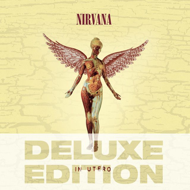 متن آهنگ Very Ape - 2013 Mix از Nirvana کاور آهنگ Very Ape - 2013 Mix از Nirvana