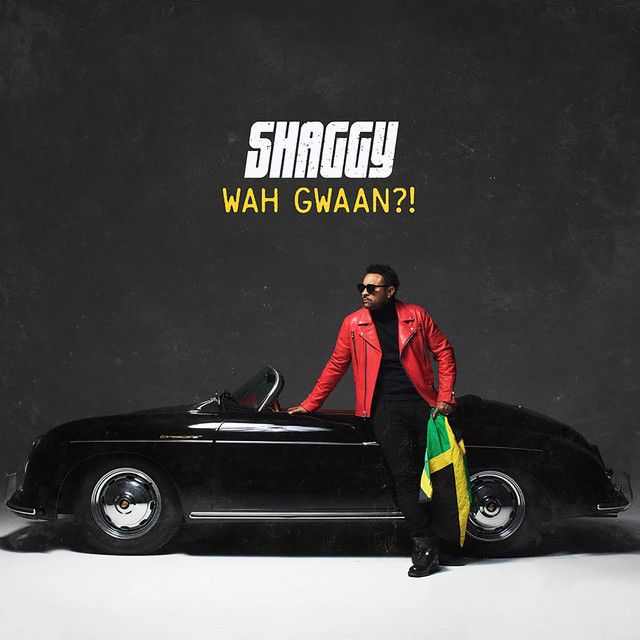 متن آهنگ Body Good از Shaggy کاور آهنگ Body Good از Shaggy