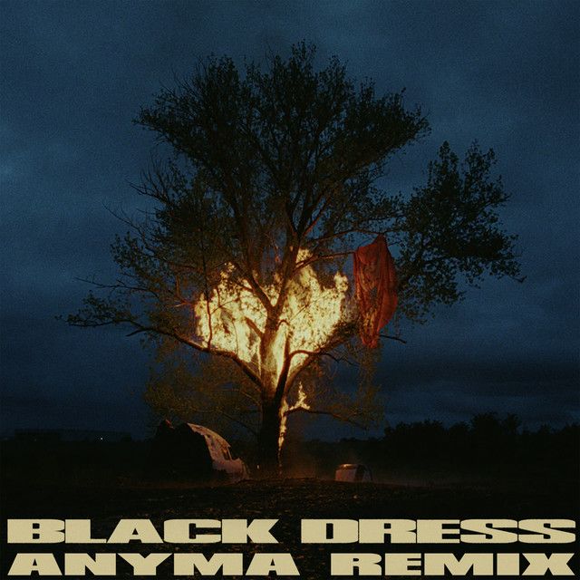 متن آهنگ Black Dress - Anyma Remix از Anyma کاور آهنگ Black Dress - Anyma Remix از Anyma