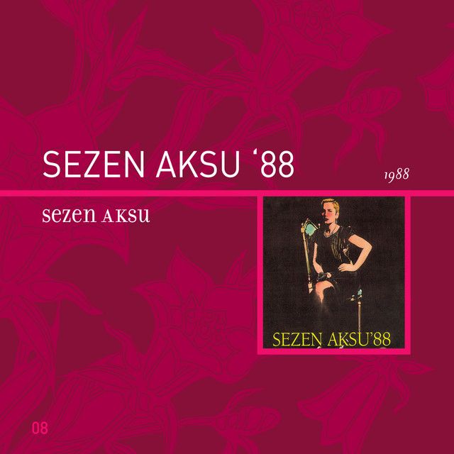 متن آهنگ Hayır از Sezen Aksu کاور آهنگ Hayır از Sezen Aksu