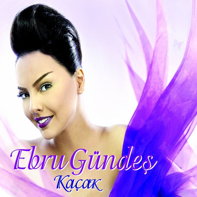 متن آهنگ Hayatta Başarılar Diliyorum از Ebru Gündeş کاور آهنگ Hayatta Başarılar Diliyorum از Ebru Gündeş