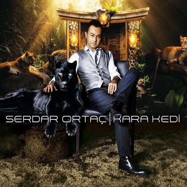 متن آهنگ Kara Kedi از Serdar Ortaç کاور آهنگ Kara Kedi از Serdar Ortaç