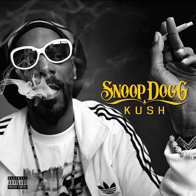 متن آهنگ No Regrets از Snoop Dogg کاور آهنگ No Regrets از Snoop Dogg