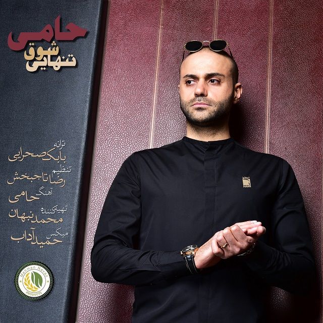 متن آهنگ شوق تنهایی از حمید حامی کاور آهنگ شوق تنهایی از حمید حامی