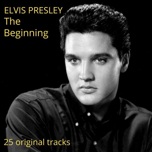 متن آهنگ I Want You از Elvis Presley کاور آهنگ I Want You از Elvis Presley