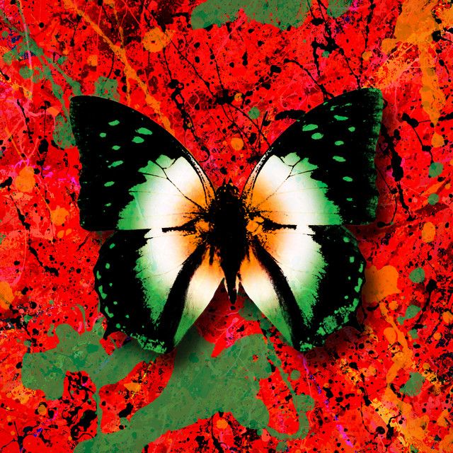 متن آهنگ 2step (feat. Denise Chaila) از Ed Sheeran کاور آهنگ 2step (feat. Denise Chaila) از Ed Sheeran